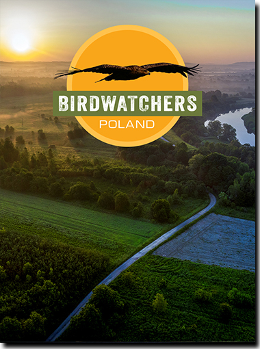 Birdwatchers poster